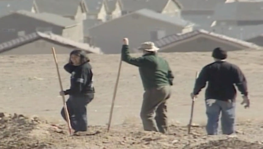West Mesa Bone Collector