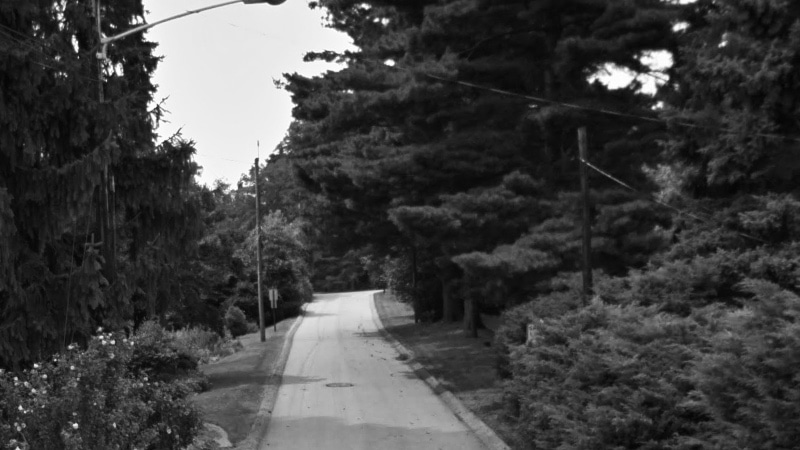 View of a street in Wilkins Township