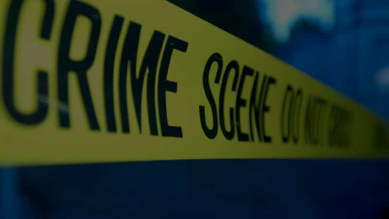 Cece Coffee fought off two attackers