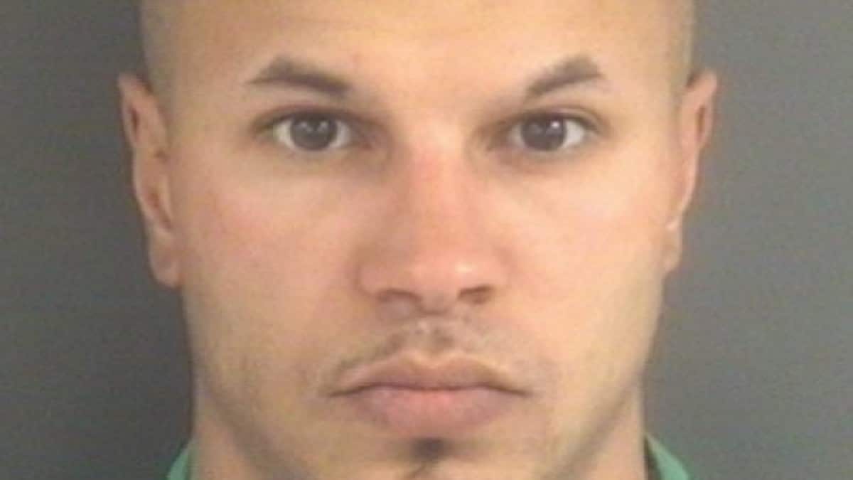 Mugshot of Robert Ellison