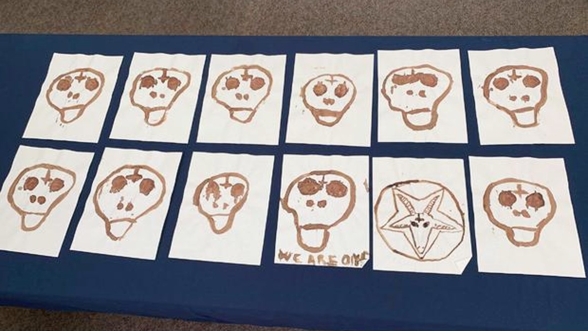Drawings of human skulls