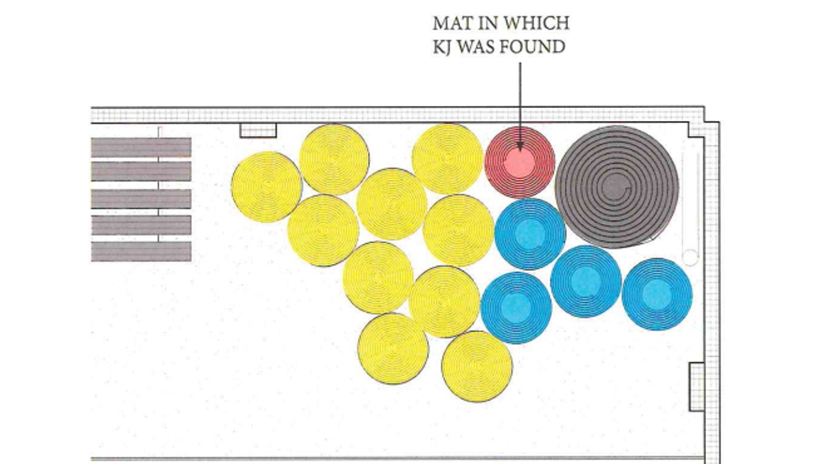An image showing the mat Kendrick was found in.